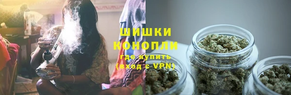 mix Богородицк